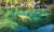 리키안 웨이가 지나가는 교이뉴크 협곡. 중국 구채구에서 봤던 그 초록 물빛이다. 물에 석회암 성분이 많이 있으면 이런 물빛이 나온다고 한다.