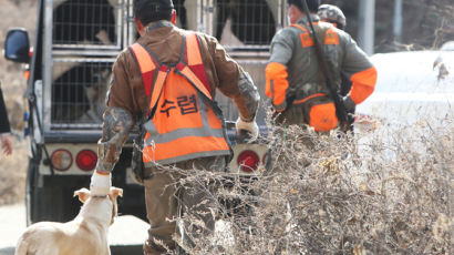 "겨울잠 자나?"…'11일째 무소식' 용인 탈출 곰 어디 숨었니 