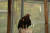 서울대공원 맹금사에 있는 검독수리의 모습. 최대 속도 시속 320km에 이르며 자기보다 몸집이 큰 동물도 사냥할 수 있다. 검독수리는 아직 방사 전 새로운 시설에 적응 중이다. [서울대공원] 
