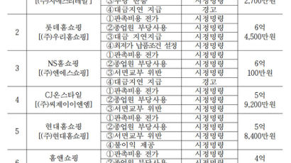 홈쇼핑 7개社 전부 ‘갑질’…납품업자에 판촉비용 떠넘겨