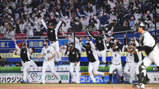 일본 야구도 노사 갈등…지바롯데 25% 삭감에 선수협 항의