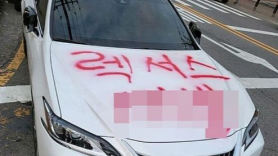 “렉서스 X발” 불법주차 일본차 빨간 페인트 테러에 네티즌 갑론을박