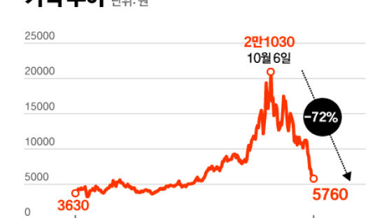 두 달 수익률 -72%...천연가스 선물 ETN 투자한 개미들 곡소리