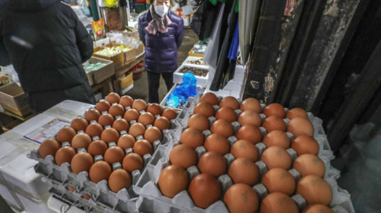 AI 발병에 불안한 달걀값…정부, 3000만개 수입란 공급키로