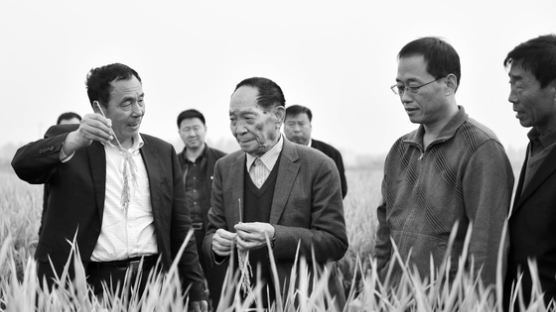 14억 먹거리 문제 해결한 '하이브리드 쌀' 아버지, 中위안룽핑 [1930~2021.5.22]