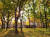 지난해 12월 문 연 서울 양천구 신정동 양천공원 책 쉼터. 공원의 오래된 나무를 베지 않고 그대로 품은 채 지었다. [사진 서로아키텍츠]