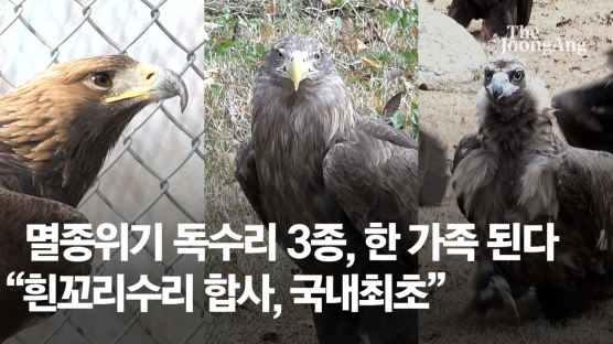 독수리·흰꼬리수리·검독수리, 서울대공원에 다 있네