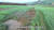 북한 관영 조선중앙TV가 지난 8월 공개한 홍수 피해를 입은 함경남도 지역 농경지의 모습. [조선중앙TV 캡처=연합뉴스]