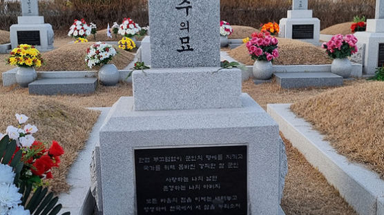 [조강수의 시선]죽음의 중지 