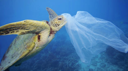 "플라스틱 다 먹어치우겠다"…쓰레기산을 먹이로, 대자연 진화