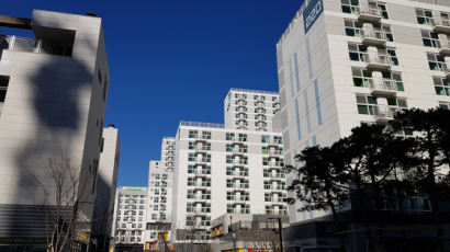 "좁고 햇빛 안드는 집은 곤란"...서울시, 일조량 등 임대주택 품질  관리한다