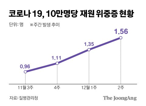 코로나 19 주간 현황(위중증). 그래픽=김경진 기자 capkim@joongang.co.kr