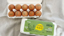 [민지리뷰] 띵동! 건강한 유기농 달걀이 도착했습니다 새벽배송에서 찾은 나의 헬시플레저 