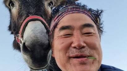 당나귀랑 까미노 814km…한국판 돈키호테 “일단 저질러봐요"