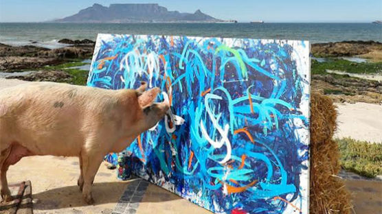 피카소 뺨치네…돼지화가 '피그카소' 작품, 3100만원에 팔렸다