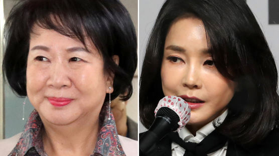 손혜원, 또 김건희 얼평? "홍조 화장에 배시시 미소…이게 사과냐"