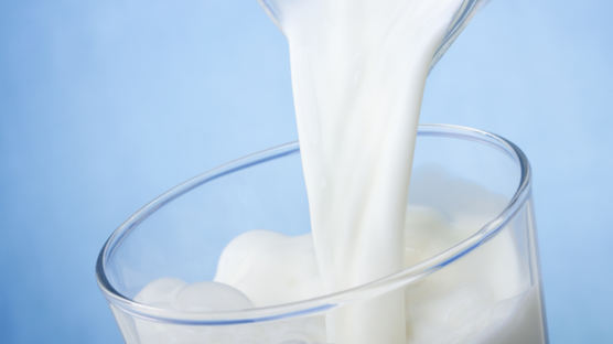 하루 우유 2잔이면 양질의 단백질 보충 가능!