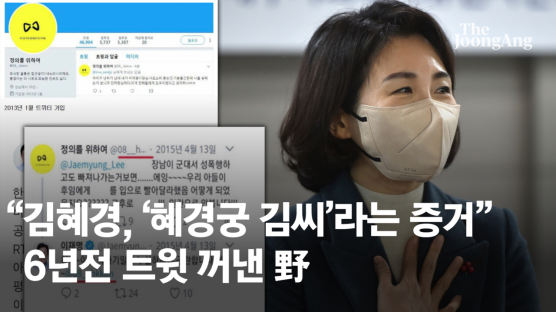 "김혜경, '혜경궁 김씨'라는 결정적 증거" 6년전 트윗 꺼낸 野