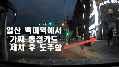수원~일산까지 택시비 7만원 '먹튀'…간 큰 10대女 2명 잡혔다 