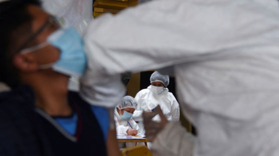 브라질·헝가리서도 ‘플루로나’ 사례 나왔다...“동시 감염 위험”