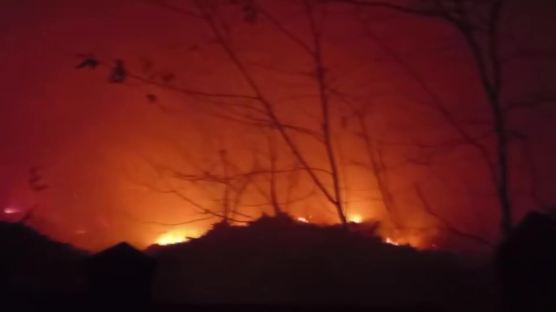 경기 이천 설봉산서 불, 큰 불 잡혀…"인명피해 없어"