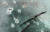 앞 유리창에 실탄 자국과 혈흔이 있는 자동차가 알마티 공화국 광장에 버려져 있다. TASS=연합뉴스