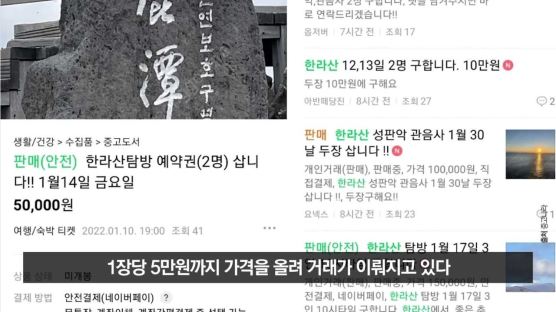 "한라산 입장권 5만원에 삽니다"…'피켓팅'이 부른 기이한 풍경