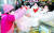 안철수 국민의당 대선후보와 배우자 김미경씨(오른쪽)가 7일 충남 천안중앙시장을 방문해 상인들과 인사를 나누고 간식을 구매하고 있다. [뉴스1]