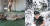 폭염 속 휴식을 취하는 경남 거제조선소 직원들의 모습(왼쪽). [독자제공ㆍ연합뉴스]