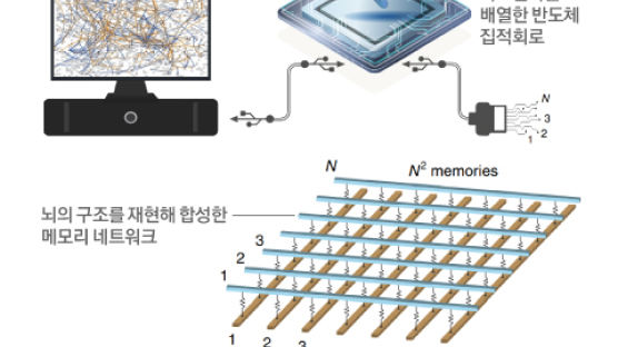 뇌 닮은 반도체 '마지막 퍼즐' 맞췄다…삼성, 세계 최초 구현