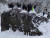 지난 12일 오후 제주 한라산 1100고지에 만들어진 눈오리들. 최충일 기자