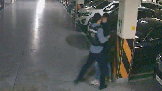 30대 차량털이범, CCTV보던 보안업체 직원이 제압해 붙잡혀