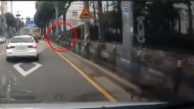 車 오자 대뜸 우산 펼쳤다…어른 경악케 한 '스쿨존 내 운전자 위협행위'[영상]