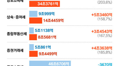 [Data & Now] 작년 양도세만 17.5조 더 걷혔다