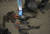 22일 페루 베타니야의 카바로 해변에서 검은 원유를 뒤집어 쓰고 죽은 바다새들. AP=연합뉴스
