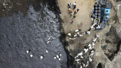 검은 기름 범벅이 된 해변…통가 1만㎞ 떨어진 페루도 SOS [이 시각]