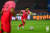 손흥민이 부상으로 빠진 가운데 벤투 감독은 월드컵 최종예선 중동 원정 2연전에서 '젊은 피'를 중용할 전망이다. [사진 대한축구협회]