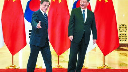 中 시진핑, 文 대통령에 생일 축하 서한…"동반자 관계 발전" 