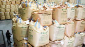가정간편식·1인가구 증가…작년 1인당 쌀 소비량 역대 최소