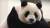 2008년 중국이 대만에 선물안 판다 중 암컷인 위안위안(圓圓)은 지난 2020년 타이페이 동물원에서 인공 수정으로 두 번째 새끼를 낳았다. EPA. 타이페이 동물원.