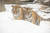 에버랜드 동물원 타이거밸리에서 놀고 있는 한국호랑이 오둥이. [에버랜드 제공. 뉴스1]