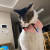 김모(31)씨의 반려묘 '네리'가 고양이용 한복 케이프를 착용한 모습. 사진 김씨 제공