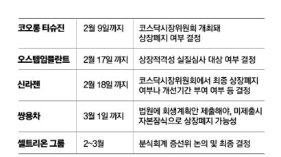 [View & Review] 신라젠·오스템 등 상폐 기로…개미들 “2월은 잔인한 달”