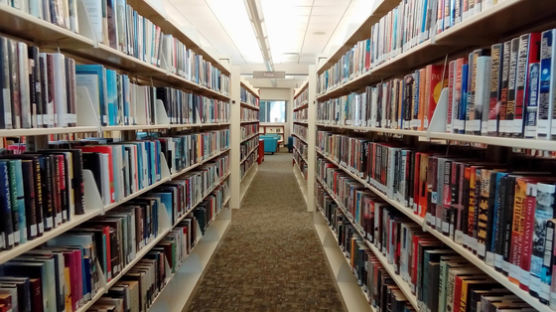 대학생 1년간 도서관 책 2권 대출…쌓이는 종이책 연 110만권 폐기