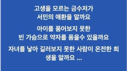 "아이 못 품은 빈 가슴" 김건희 겨냥한 與의원…네티즌 뿔났다