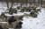 지난달 22일(현지시간) 우크라이나 수도 키예프의 한 공원에서 정부군과 의용군이 러시아군 침공에 대비해 합동훈련을 하고 있다. 러시아군은 최근 우크라이나를 3면에서 포위한 형태로 병력과 장비를 집결시켜 양국 간 군사적 긴장이 고조되고 있다. AP=연합뉴스