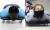 이번 대회 검은 헬멧을 쓴 윤성빈(왼쪽)과 평창올림픽 당시 윤성빈 헬멧. [연합뉴스]