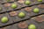 월드 초콜릿 마스터스 한국 대표 선발전에서 지구온난화로 생산량이 급격히 늘어난 파인애플의 소비 촉진을 위해 만든 김동석 셰프의 봉봉.