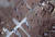 크림반도의 도누즐라프 호스 근처에서 군사 훈련 중인 헬리콥터와 군대의 위치를 보여주는 맥사테크놀로지의 위성사진. 연합뉴스