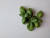 '허브의 왕' 바질은 토마토에 깊은 풍미를 더해준다. 사진 pexels